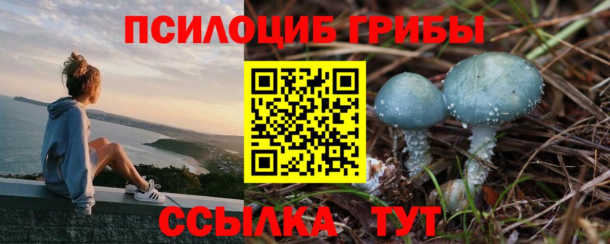 наркошоп  Галлюциногенные грибы мицелий  Вход с VPN  Ленинск-Кузнецкий  Галлюциногенные грибы Psilocybine cubensis 